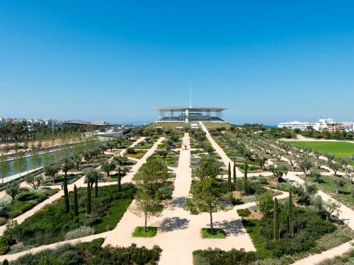 Large green roof with mediterranean vegetation